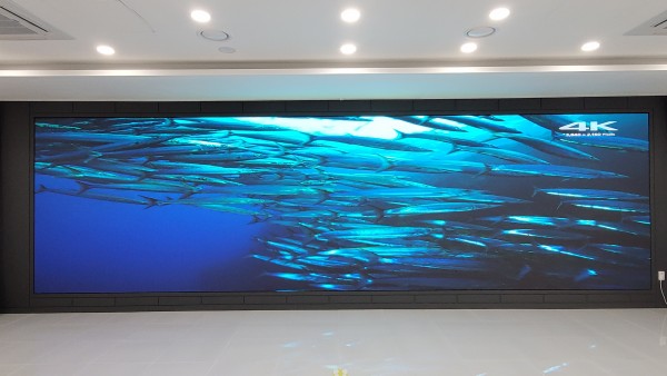 094cadc2329c98c2bb80e192f05a6f5c_1780897706_5667.jpg